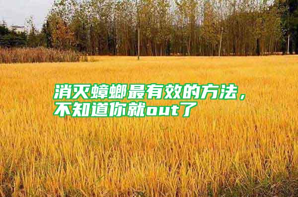 消滅蟑螂最有效的方法，不知道你就out了