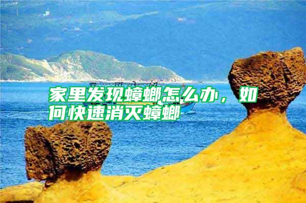 家里發現蟑螂怎么辦,如何快速消滅蟑螂