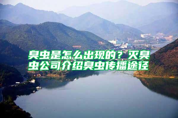 臭蟲是怎么出現的？滅臭蟲公司介紹臭蟲傳播途徑