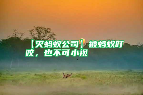 【滅螞蟻公司】被螞蟻叮咬,也不可小視
