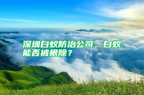 深圳白蟻防治公司,白蟻能否被根除?