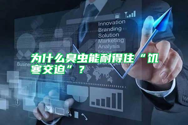 為什么臭蟲能耐得住“饑寒交迫”？