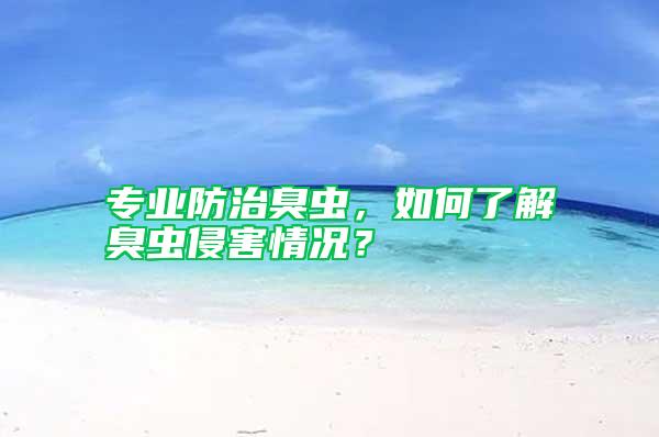 專業防治臭蟲，如何了解臭蟲侵害情況？