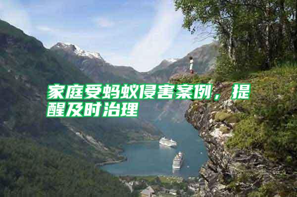 家庭受螞蟻侵害案例,提醒及時(shí)治理