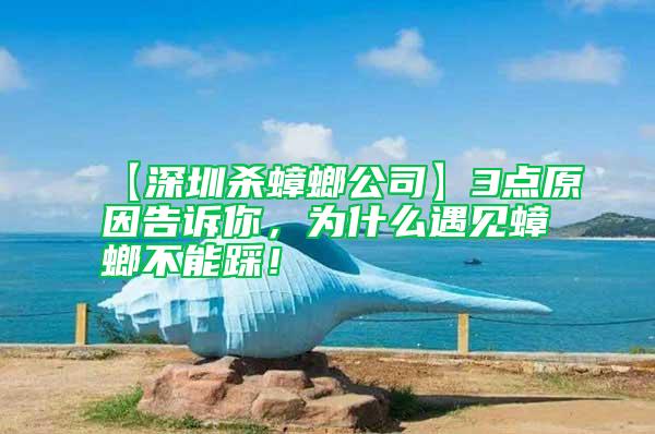 【深圳殺蟑螂公司】3點原因告訴你,為什么遇見蟑螂不能踩!