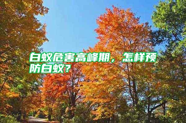 白蟻危害高峰期,怎樣預(yù)防白蟻?