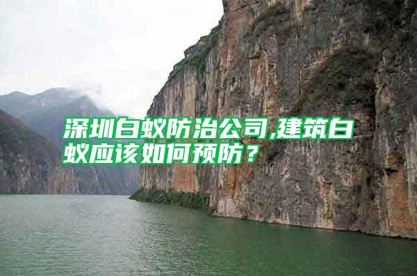 深圳白蟻防治公司,建筑白蟻應(yīng)該如何預(yù)防?