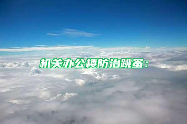 機關辦公樓防治跳蚤: