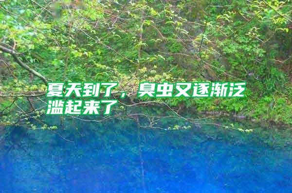 夏天到了,臭蟲又逐漸泛濫起來了