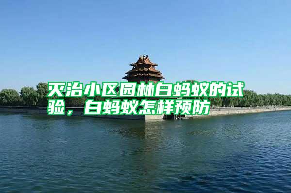 滅治小區園林白螞蟻的試驗，白螞蟻怎樣預防