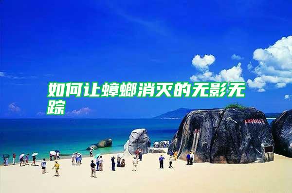 如何讓蟑螂消滅的無影無蹤