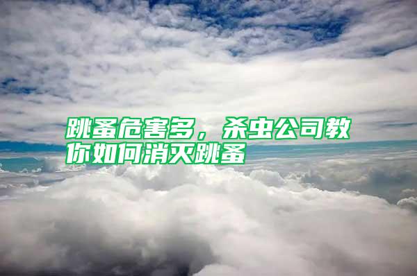 跳蚤危害多,殺蟲公司教你如何消滅跳蚤