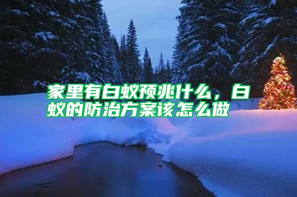 家里有白蟻預兆什么,白蟻的防治方案該怎么做