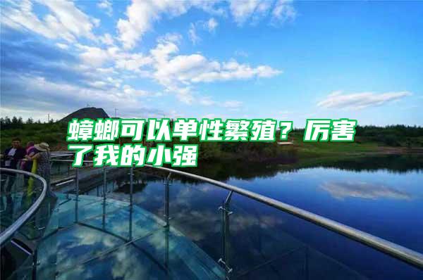 蟑螂可以單性繁殖?厲害了我的小強(qiáng)