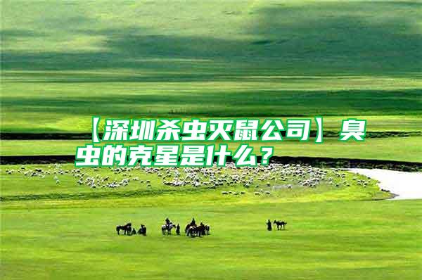 【深圳殺蟲滅鼠公司】臭蟲的克星是什么？