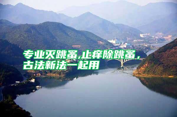 專業滅跳蚤,止癢除跳蚤, 古法新法一起用