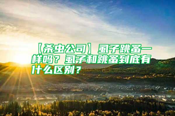 【殺蟲公司】虱子跳蚤一樣嗎？虱子和跳蚤到底有什么區別？