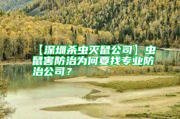 【深圳殺蟲滅鼠公司】蟲鼠害防治為何要找專業(yè)防治公司?