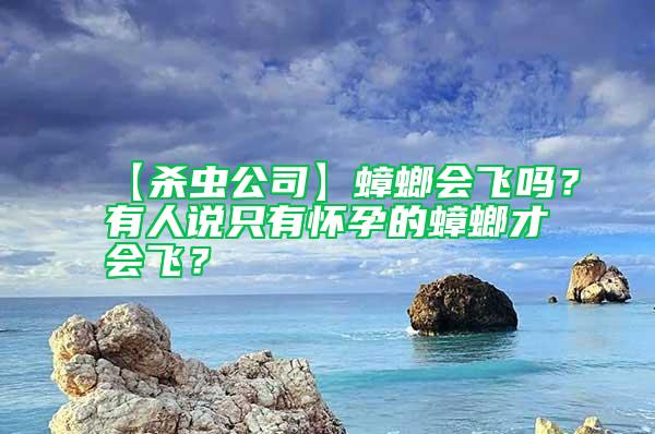 【殺蟲公司】蟑螂會飛嗎？有人說只有懷孕的蟑螂才會飛？