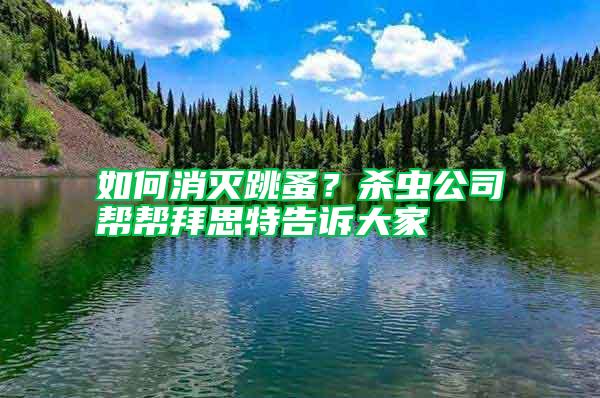 如何消滅跳蚤？殺蟲(chóng)公司幫幫拜思特告訴大家