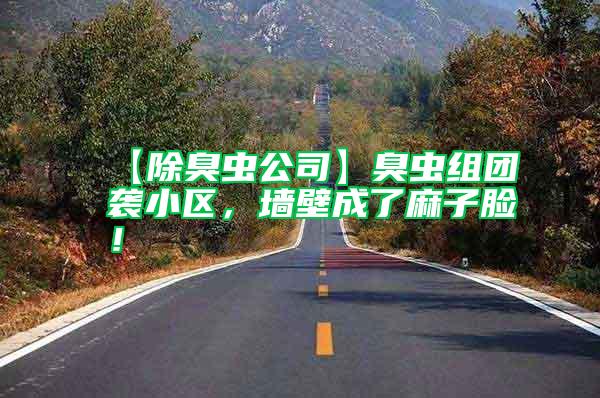 【除臭蟲(chóng)公司】臭蟲(chóng)組團(tuán)襲小區(qū)，墻壁成了麻子臉！