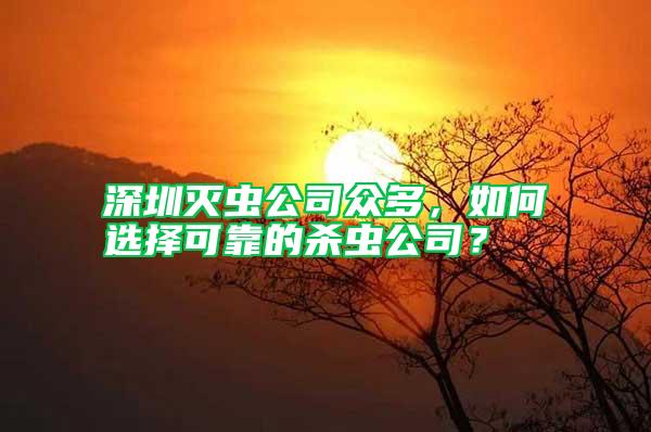 深圳滅蟲公司眾多，如何選擇可靠的殺蟲公司？