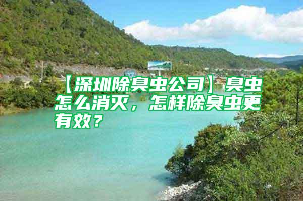 【深圳除臭蟲公司】臭蟲怎么消滅，怎樣除臭蟲更有效？