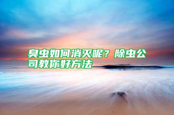 臭蟲如何消滅呢？除蟲公司教你好方法
