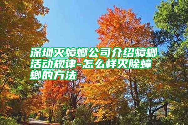 深圳滅蟑螂公司介紹蟑螂活動規(guī)律-怎么樣滅除蟑螂的方法