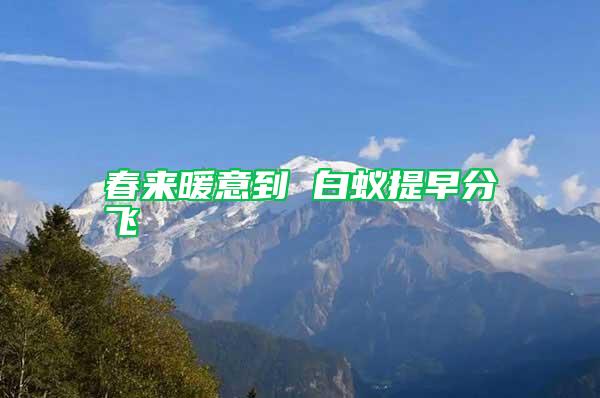春來(lái)暖意到 白蟻提早分飛