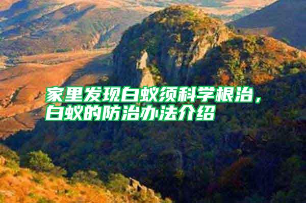 家里發現白蟻須科學根治，白蟻的防治辦法介紹