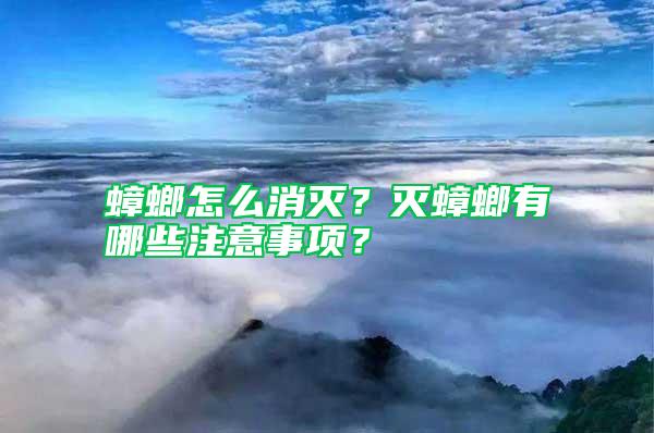 蟑螂怎么消滅？滅蟑螂有哪些注意事項？