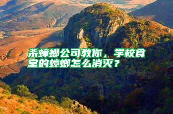 殺蟑螂公司教你，學(xué)校食堂的蟑螂怎么消滅？