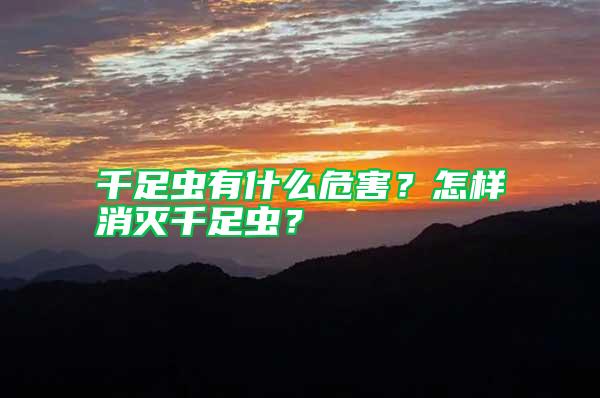 千足蟲有什么危害？怎樣消滅千足蟲？