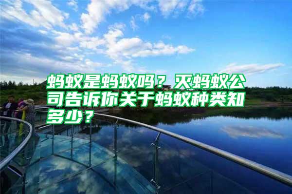 螞蟻是螞蟻嗎?滅螞蟻公司告訴你關(guān)于螞蟻種類知多少?