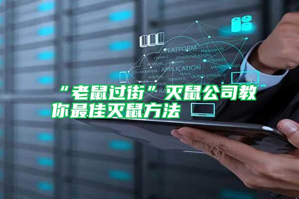 “老鼠過街”滅鼠公司教你最佳滅鼠方法