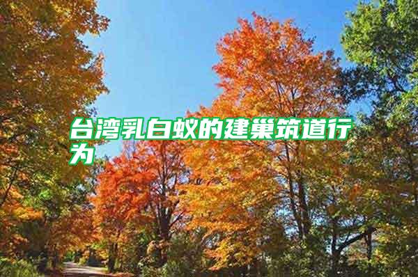 臺灣乳白蟻的建巢筑道行為