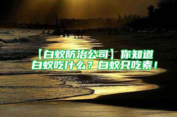【白蟻防治公司】你知道白蟻吃什么?白蟻只吃素!