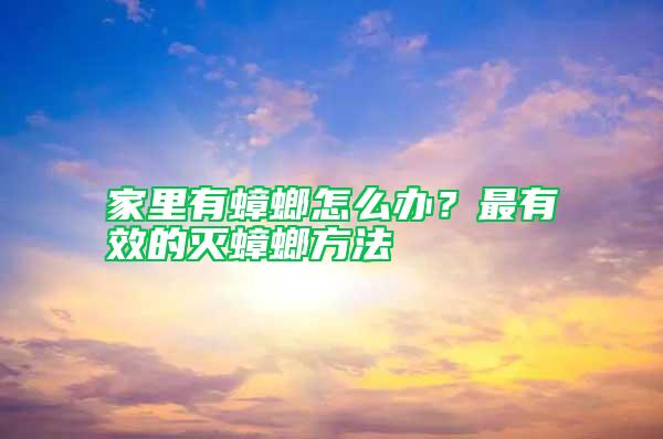 家里有蟑螂怎么辦?最有效的滅蟑螂方法