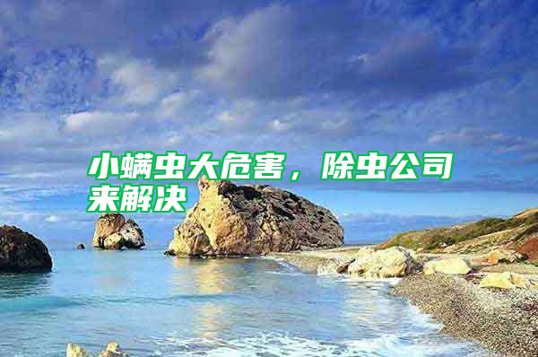 小螨蟲大危害，除蟲公司來解決