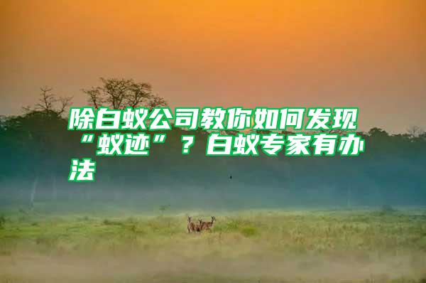 除白蟻公司教你如何發現“蟻跡”?白蟻專家有辦法