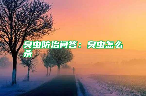 臭蟲(chóng)防治問(wèn)答:臭蟲(chóng)怎么殺
