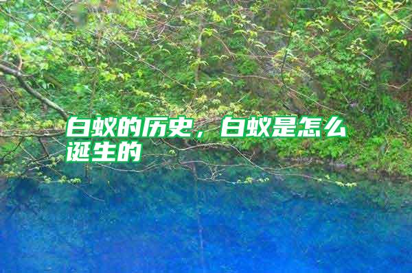 白蟻的歷史，白蟻是怎么誕生的