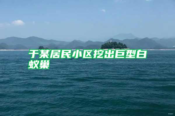 于某居民小區挖出巨型白蟻巢