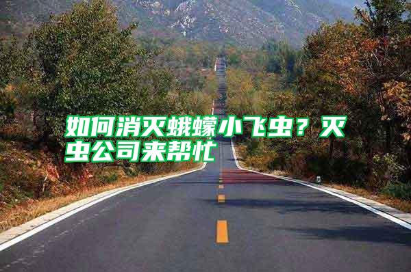 如何消滅蛾蠓小飛蟲？滅蟲公司來幫忙