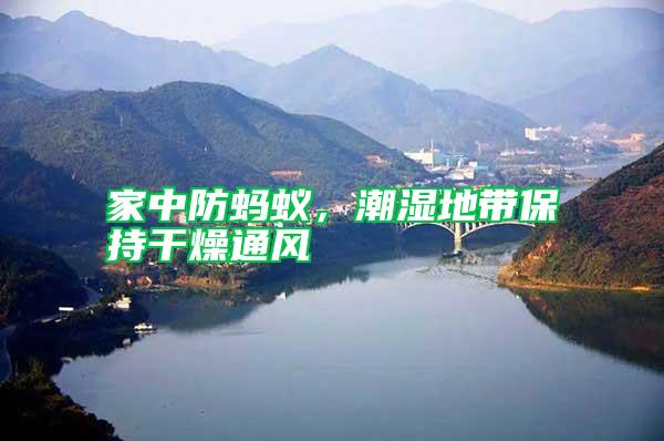 家中防螞蟻，潮濕地帶保持干燥通風