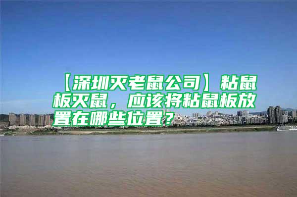 【深圳滅老鼠公司】粘鼠板滅鼠，應該將粘鼠板放置在哪些位置？