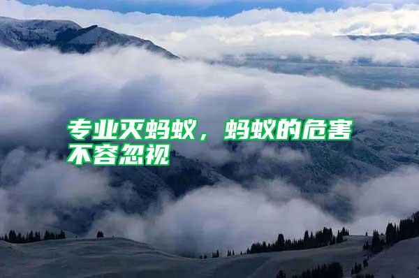 專業滅螞蟻,螞蟻的危害不容忽視