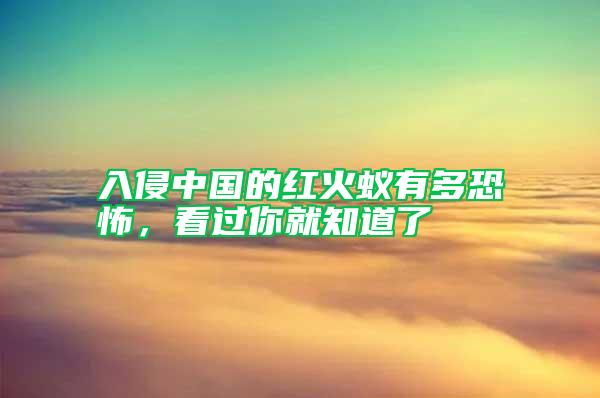 入侵中國的紅火蟻有多恐怖,看過你就知道了