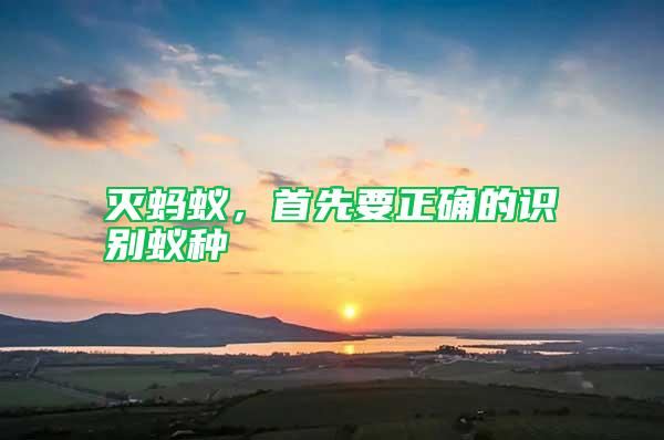 滅螞蟻,首先要正確的識別蟻種